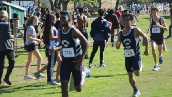 Cross country sub-sections