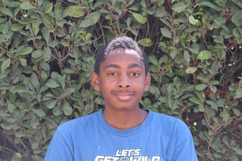 Veron Hollins