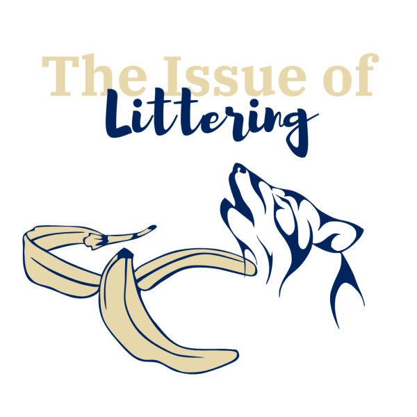 The Issue of Littering