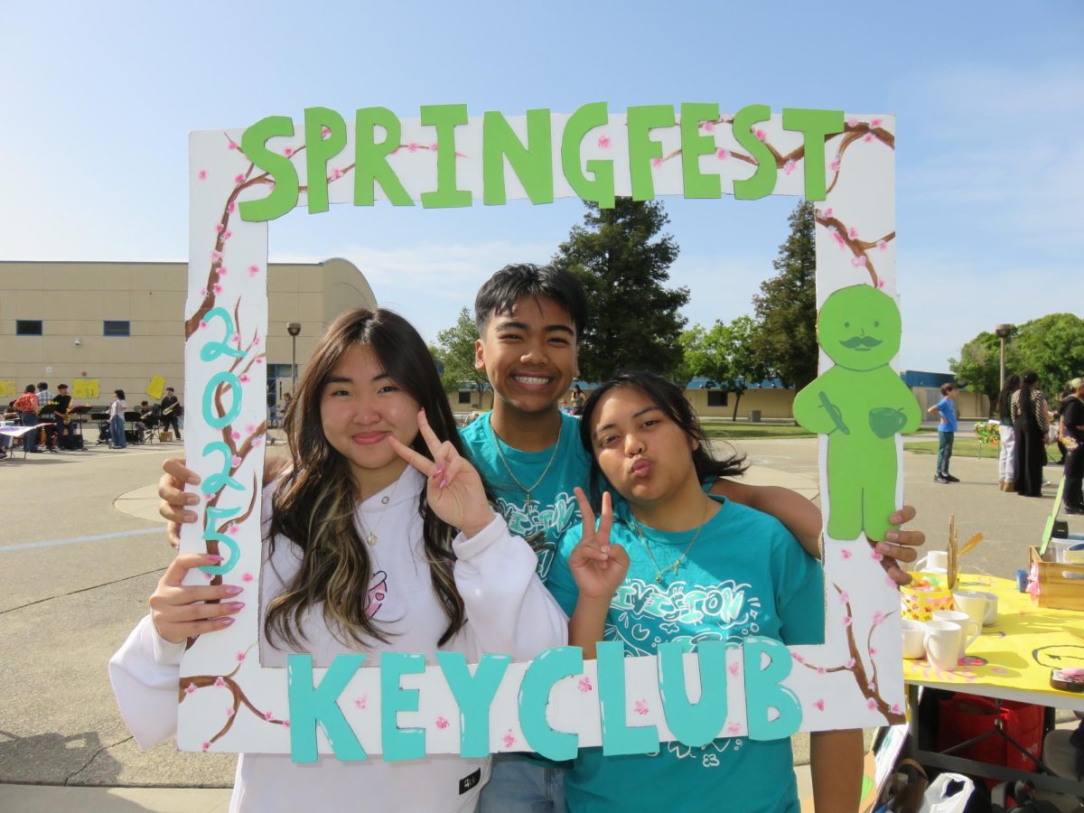 Blossoming into Springfest!