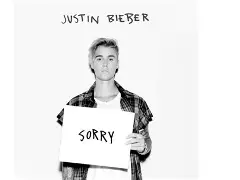 "Sorry" The Justin Bieber album Mia T Arianne Q sang to